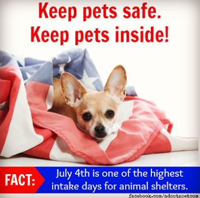 4th of July Pet Safety