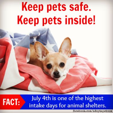 pets safe