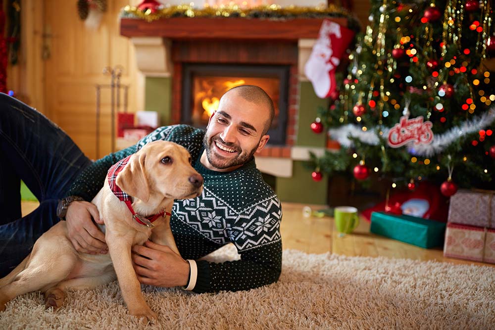 Man with his dog on Christmas eve